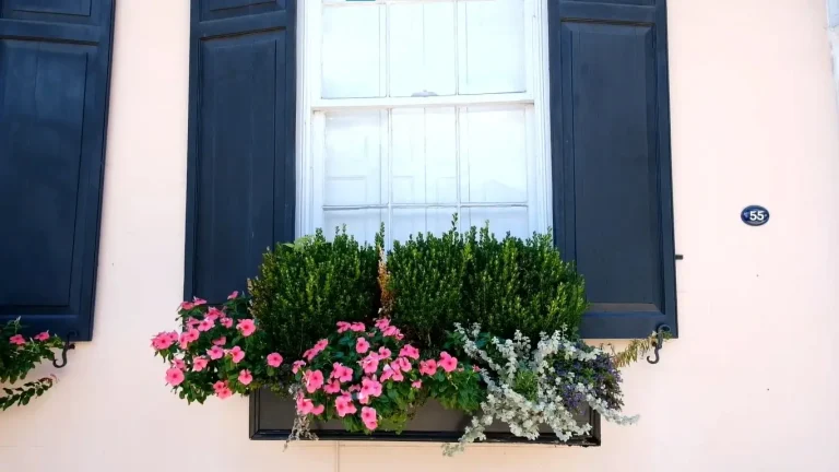window paint-